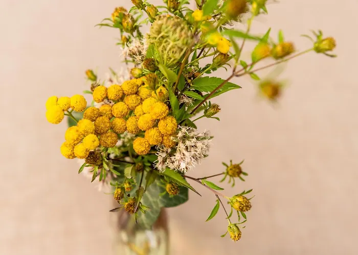 & Weinhaus Anker Отель 4*