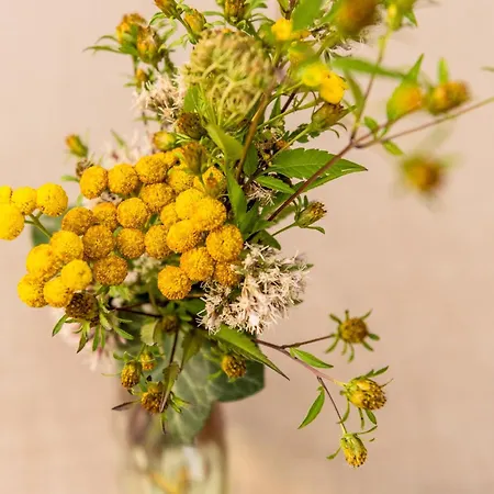 & Weinhaus Anker מלון 4*